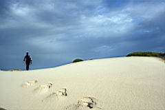 bettys bay IMG_1987a.jpg